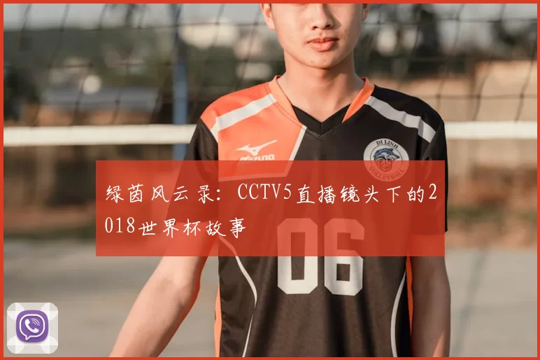 绿茵风云录：CCTV5直播镜头下的2018世界杯故事