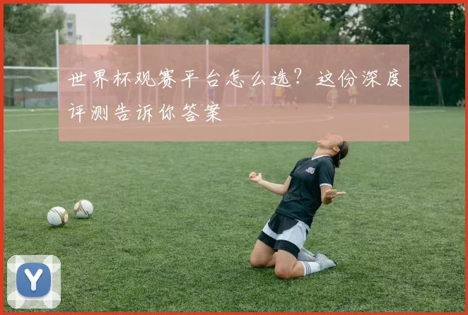 世界杯观赛平台怎么选？这份深度评测告诉你答案