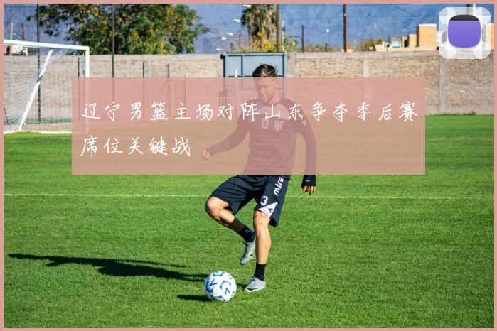 辽宁男篮主场对阵山东争夺季后赛席位关键战