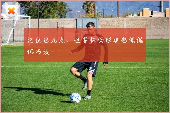 记住这几点,世界杯伪球迷也能侃侃而谈