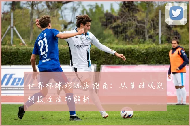 世界杯球彩玩法指南:从基础规则到投注技巧解析