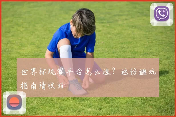 世界杯观赛平台怎么选?这份避坑指南请收好