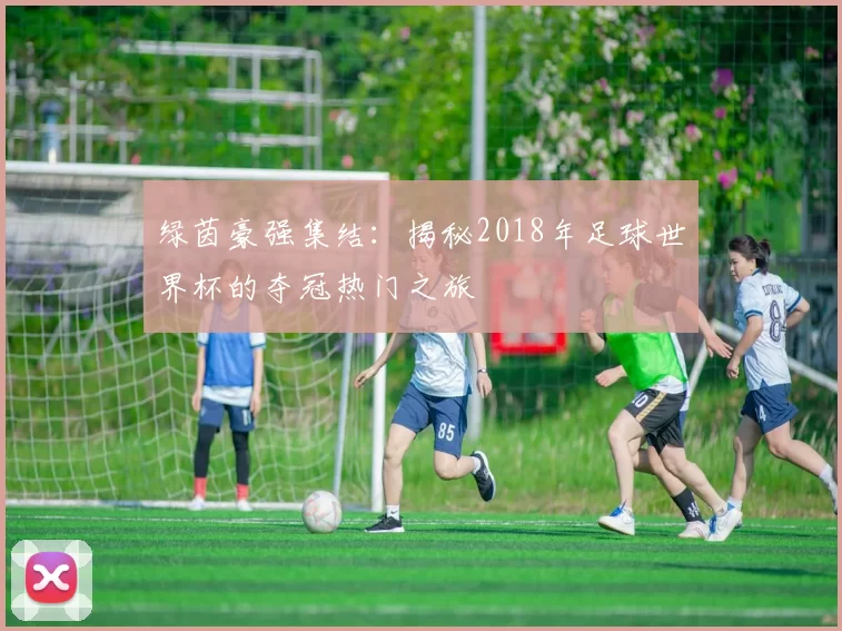 绿茵豪强集结：揭秘2018年足球世界杯的夺冠热门之旅