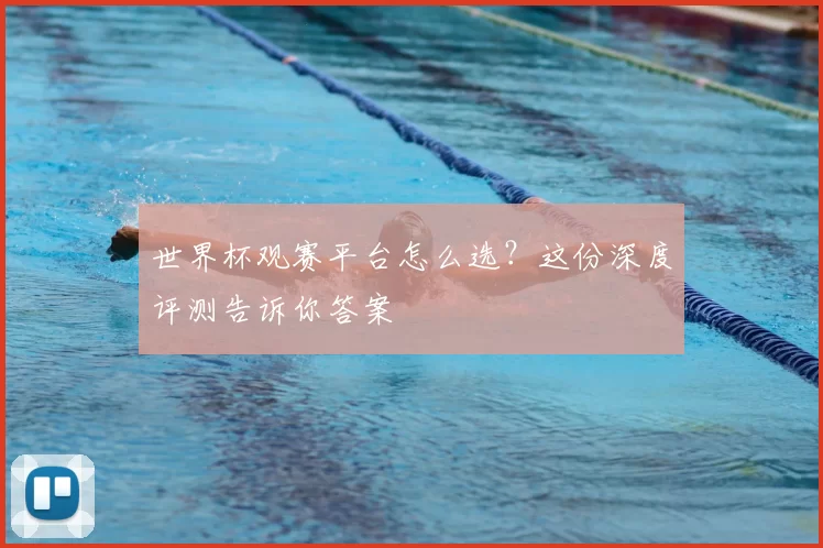 世界杯观赛平台怎么选？这份深度评测告诉你答案