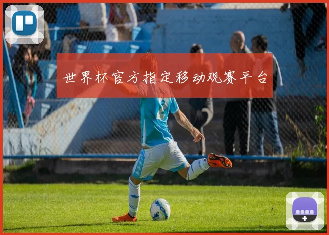 世界杯官方指定移动观赛平台