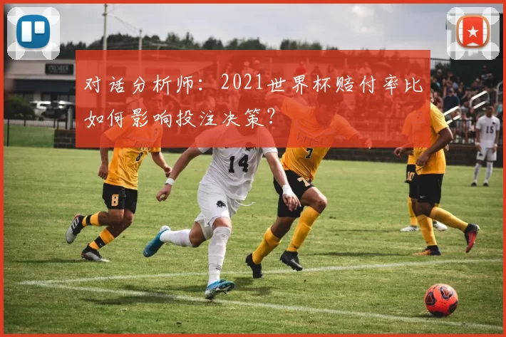 对话分析师：2021世界杯赔付率比如何影响投注决策？