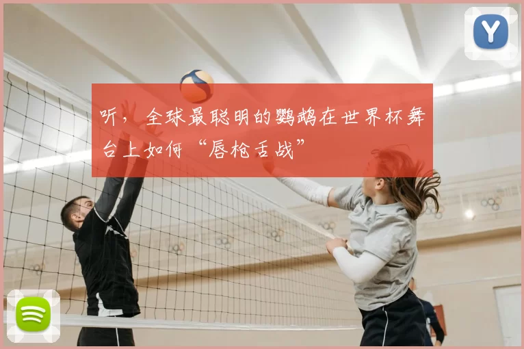 听,全球最聪明的鹦鹉在世界杯舞台上如何“唇枪舌战”