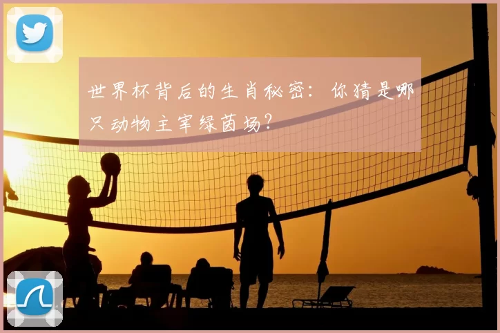 世界杯背后的生肖秘密：你猜是哪只动物主宰绿茵场？