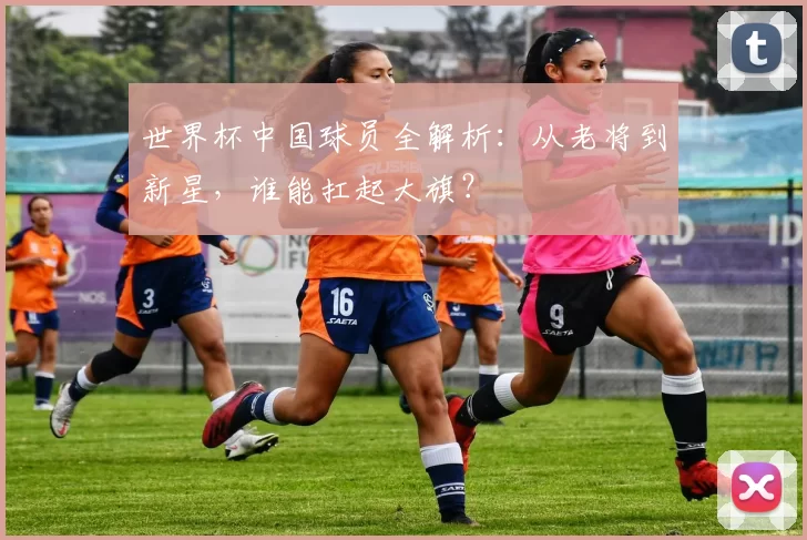 世界杯中国球员全解析：从老将到新星，谁能扛起大旗？